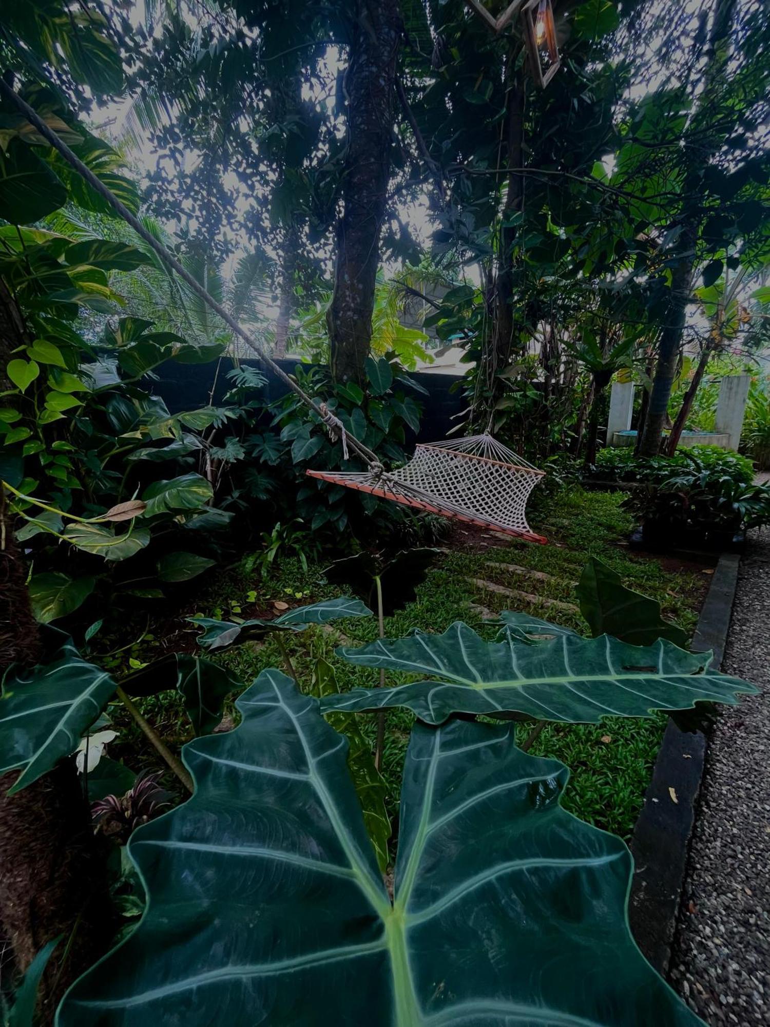 Bodhi Garden Villa In Varkala Exteriér fotografie